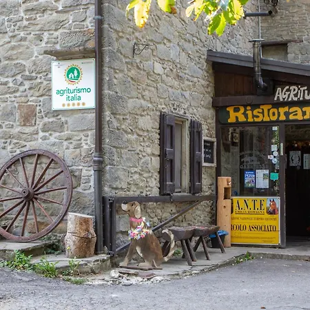 Farm stay Ca Gabrielli Lizzano In Belvedere