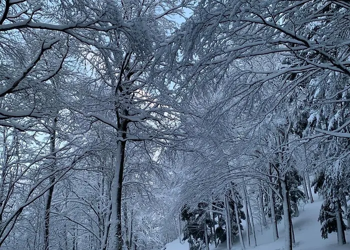 Alojamento de Turismo Rural Cà Gabrielli Lizzano In Belvedere