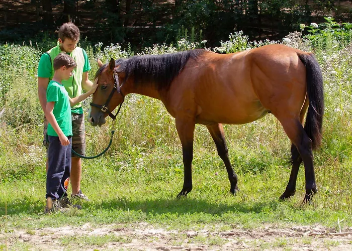 Cà Gabrielli Alojamento de Turismo Rural *