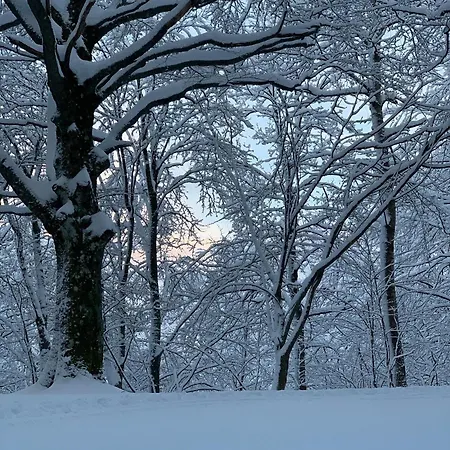 Farmház Ca Gabrielli