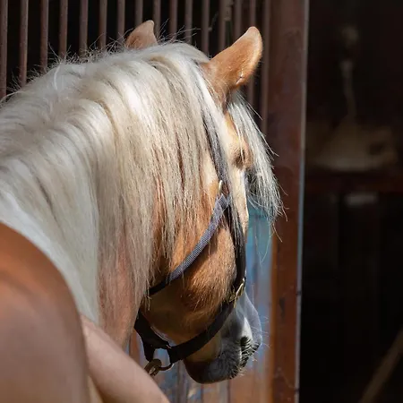 Ca Gabrielli Lizzano In Belvedere