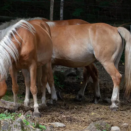 Ca Gabrielli Farmház Lizzano in Belvedere