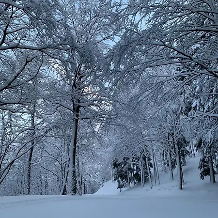 Farm stay Ca Gabrielli Lizzano In Belvedere