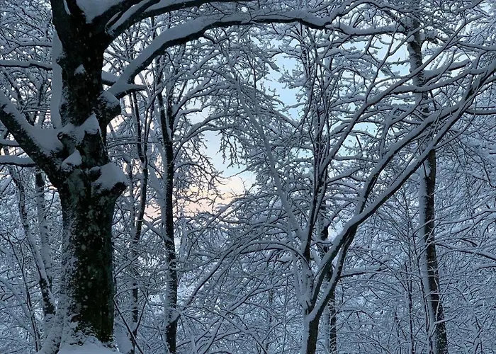 Lantgård Ca Gabrielli