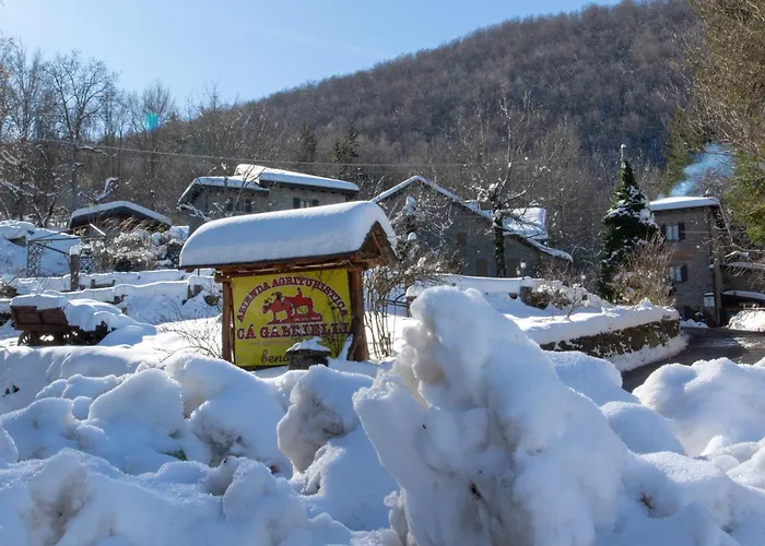 Çiftlik konaklama Ca Gabrielli Lizzano In Belvedere