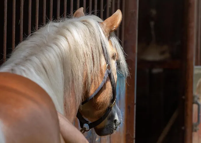 Ca Gabrielli Lizzano In Belvedere